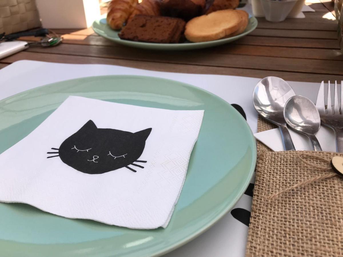 Il Gatto Stanco B&B 아로나 외부 사진