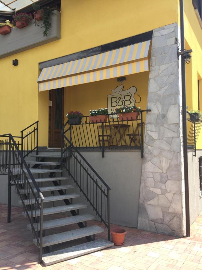 Il Gatto Stanco B&B 아로나 외부 사진