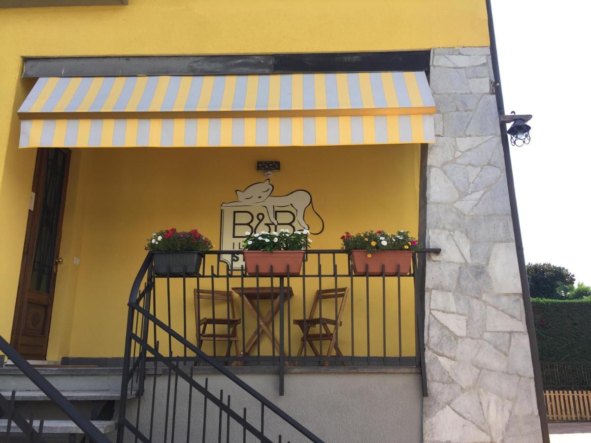 Il Gatto Stanco B&B 아로나 외부 사진